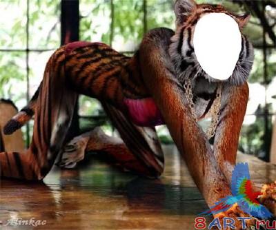 ������ �� ������� - �������!