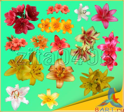 ����� � ������� PSD.