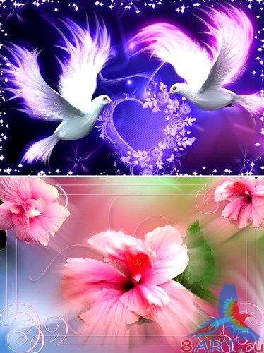 ������������� PSD- ���������