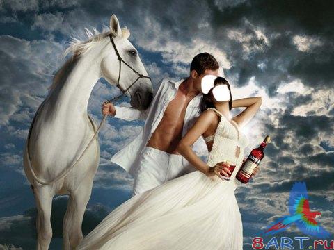 ������ ����� ���� ������� �����