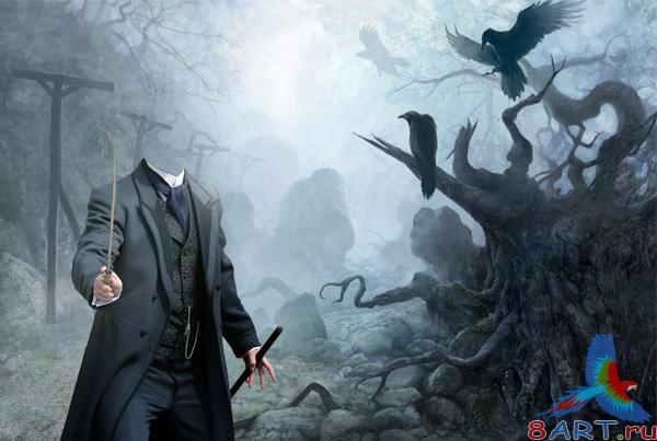 Wizard - .      Photoshop