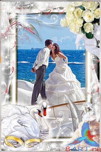 ��������� ����� ����� �������� � ��������� �������