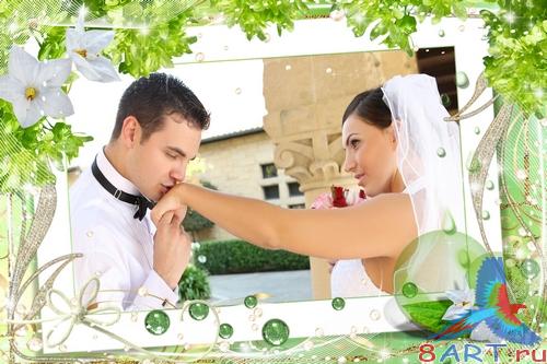 ������� ����� ���������� ���� - ��������