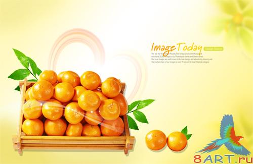 Fruits PSD