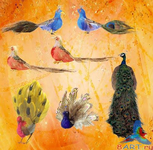 ������� � ������� ������� PSD