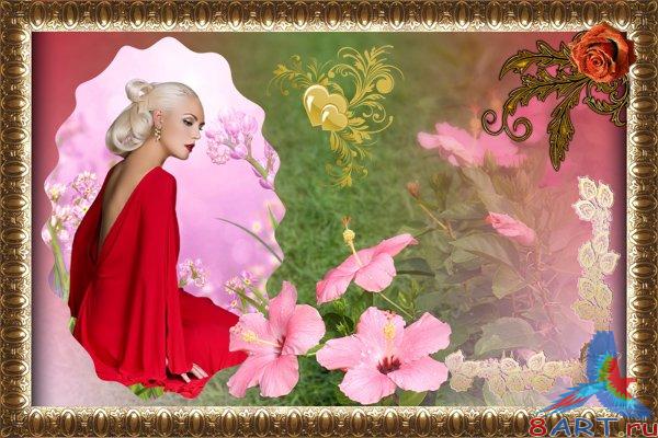 ����� � ����� �������� - ��������