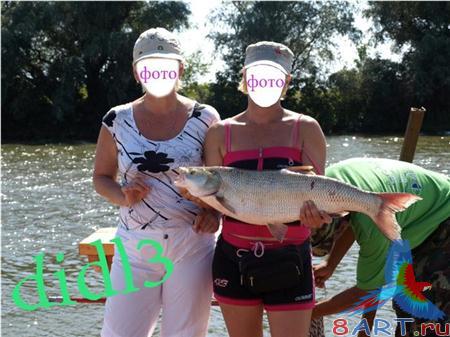 ������ � ��������� �������� - �������