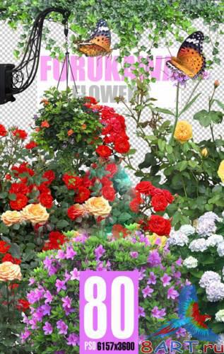 Флористический чудный PSD клипарт - Разнообразные растения на PSD формате Флористический чудный PSD клипарт - Разнообразные растения на PSD формате