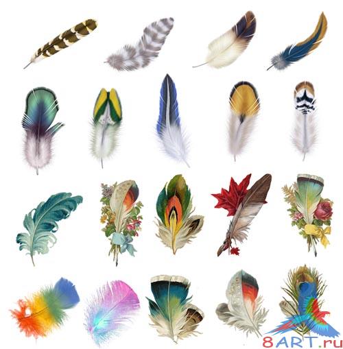 ��������  ������ � ������� PSD