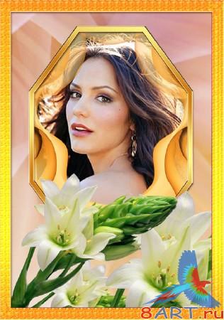 ��������� ���������� �� �������