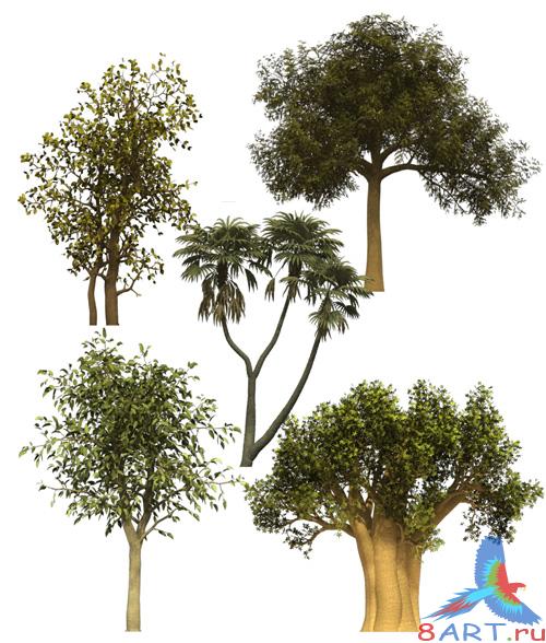 ������� �������� �� PSD