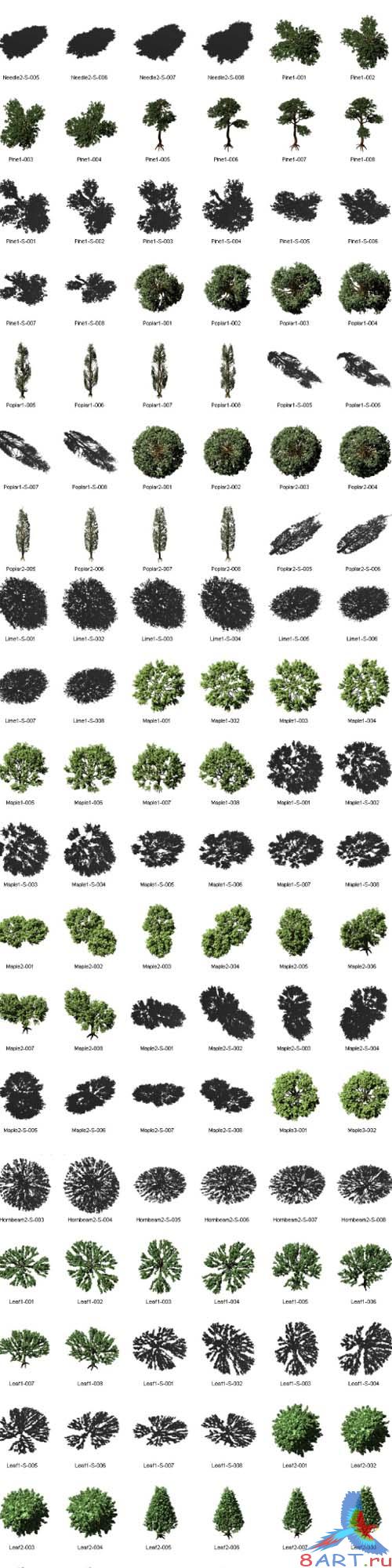 Dosch Birds Eye View Trees