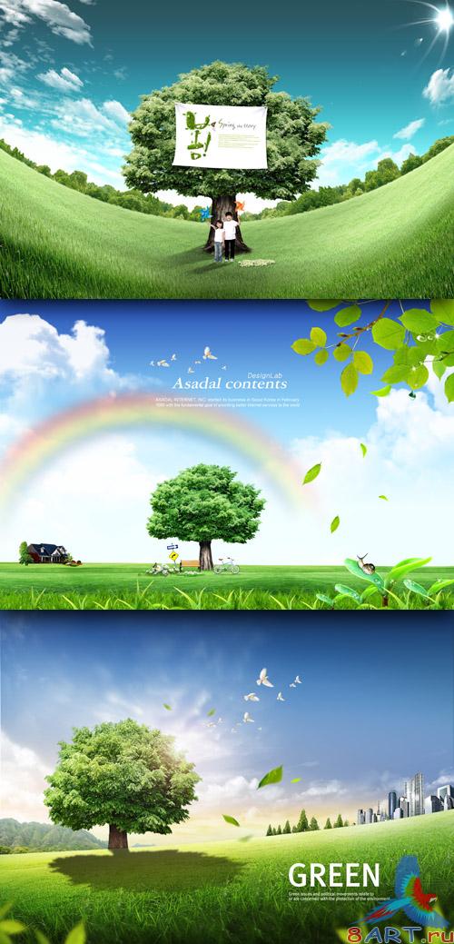 Sources - Green Tree