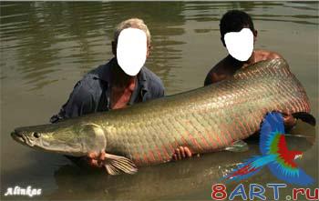 ������ � ����� ������� - ��������������� ����!