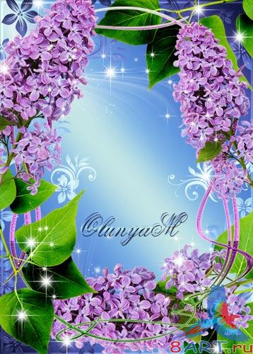 ��������� ����� - ��������� �����