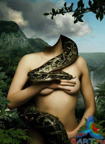 ������ �� ���� - ���