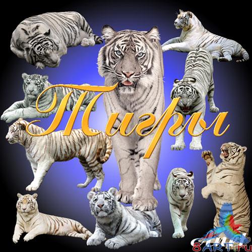 ������� - ����������� ����� �����