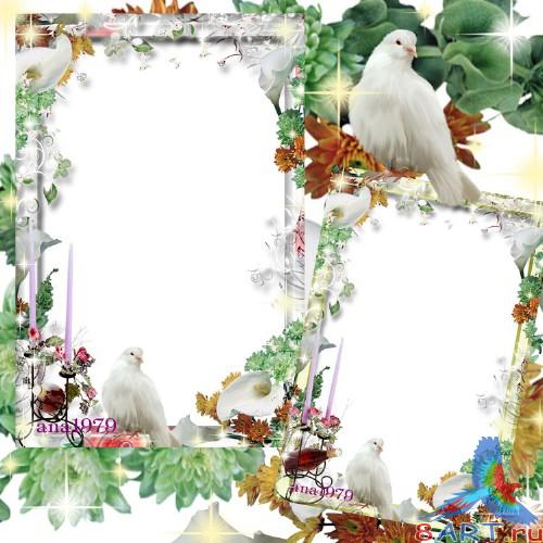 ������������� ����� � ������ ���� �������� � ������ �������