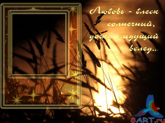 ���� ����������