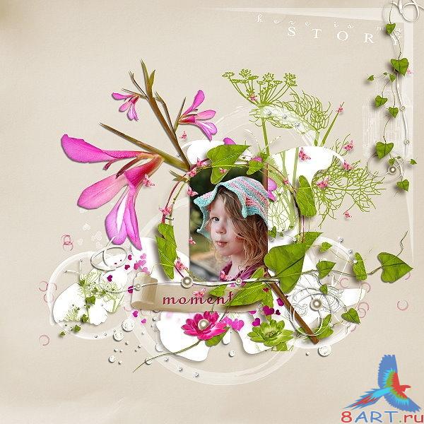 �����-�����  Pink spring