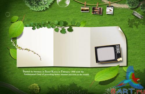 Sources - Green grass