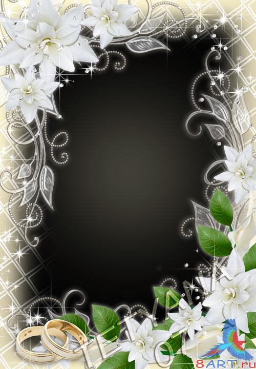 ��������� ����� � ������ ���� ������� - ������ �� �������