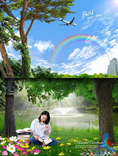 Sources - Forest nature Sources - Forest nature