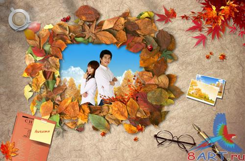 Sources - Autumn leaves