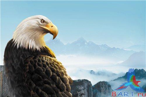 PSD - Eagle in the Mountains