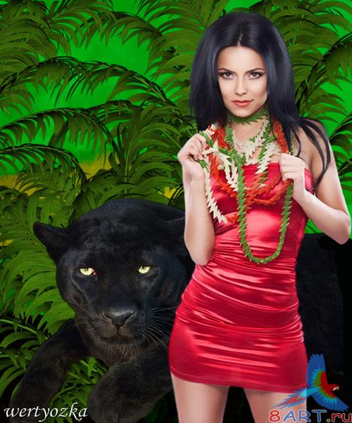 ������� ������ - ������� ����� ��������