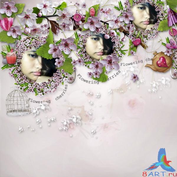 �����-����� Flowering cherries