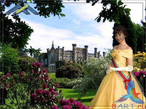 ������ �� ����������� ��������� �� ����