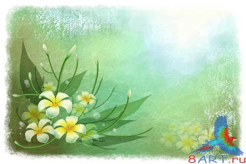 PSD - Stylish Natural Template