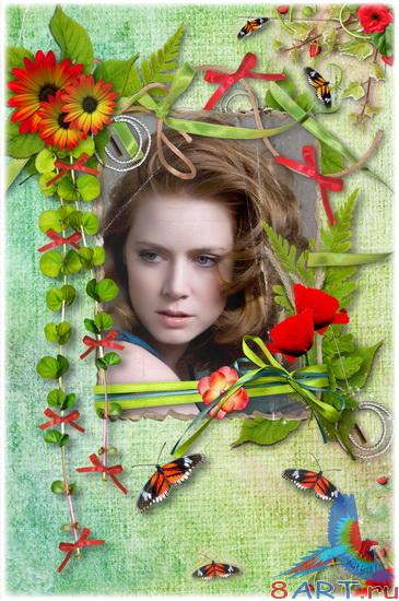 ��������� ��������� - ������� ����� ����