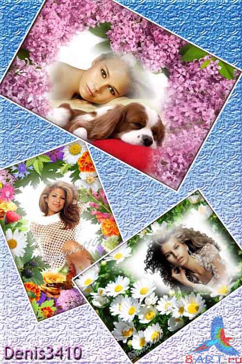 ��� ��������� ����� � ����� ������� - ���������� ����