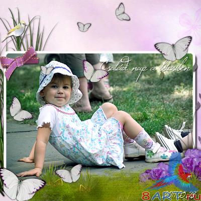 ��������� �����-����� -   Fleurs de lavande