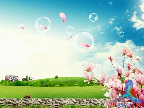 Sources - A branch of the cherry blossoms