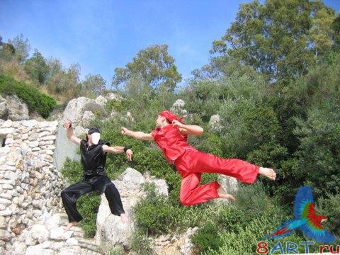 ������ � ����� ���� ���������� ���