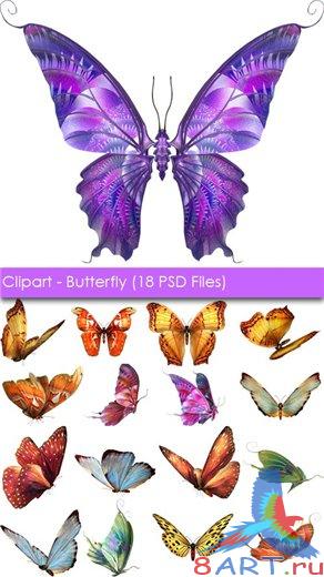 Butterflies_PSD