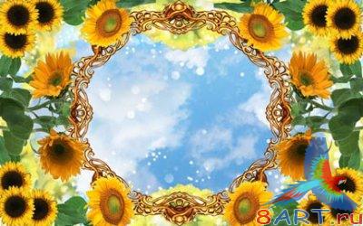 Sunflowers.      PNG