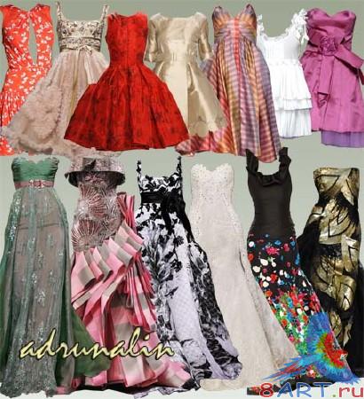 ����� ������� ����� �����������