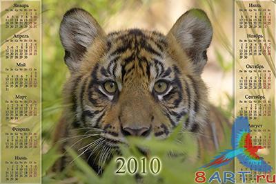 ������� ����� ��� 2010 ���