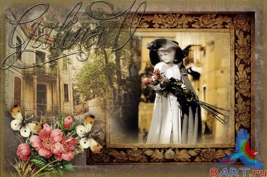 ��������� ����� ����� ���� - ������ ����� �������