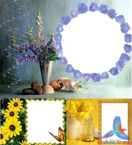 ������������� ������� 