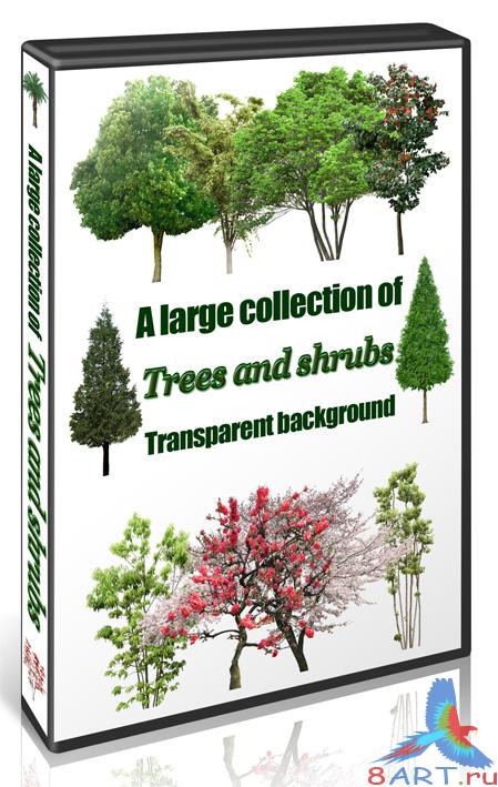 A large collection of trees and bushes