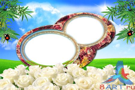 ����� - 8 �����