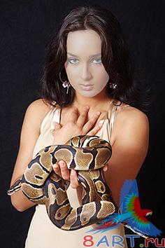 ������� � ����� ����������� "������� �� ����"