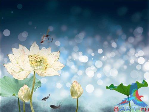 PSD - White flowers on blue background