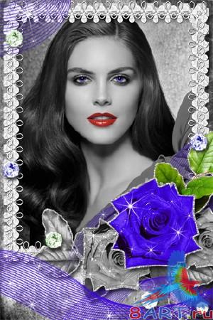  Photoshop -  