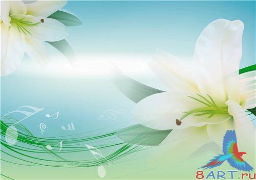 PSD - Music of Lilies